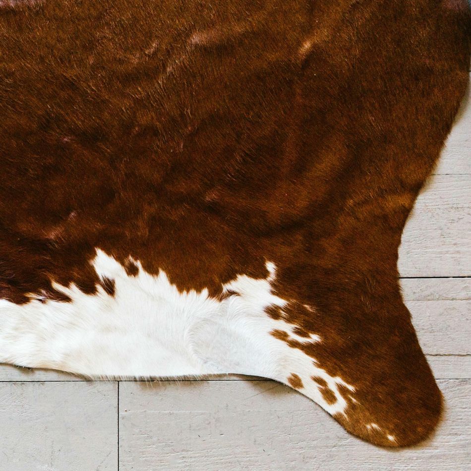 Brown And White Cowhide Rug Graham, Brown And White Cowhide Rug