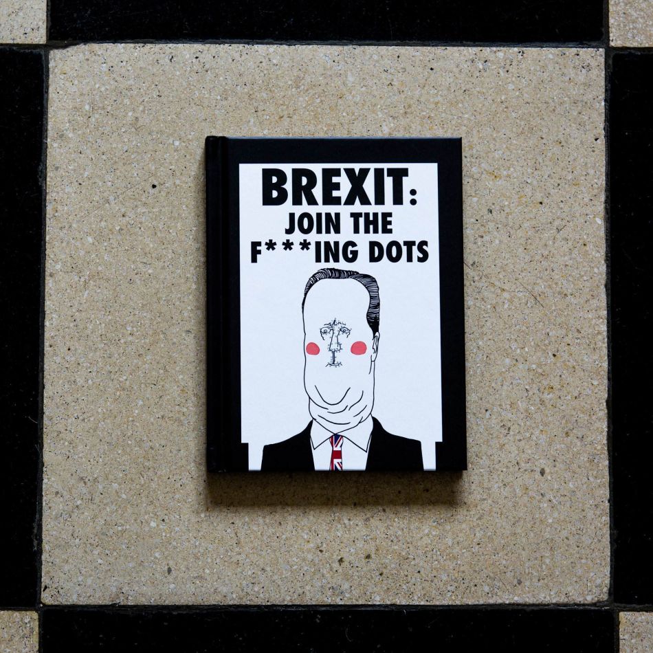Brexit: Join the Dots Book
