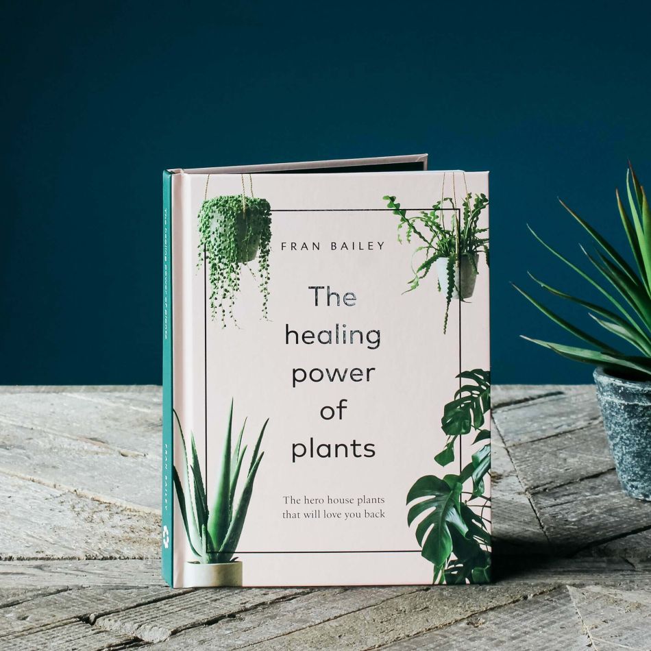 The Healing Power of Plants Book