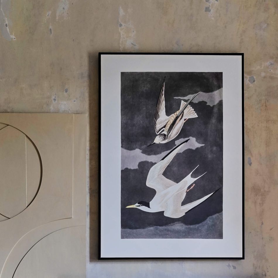Framed Birds in Flight Print