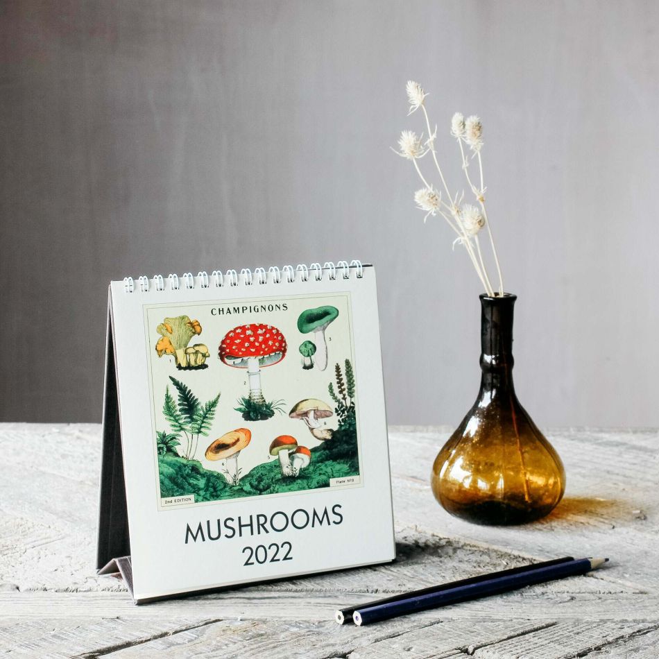 Mushrooms 2022 Desk Calendar