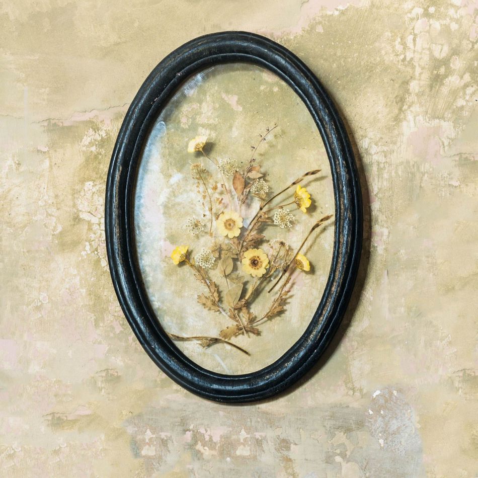 Framed Dried Yellow Flowers