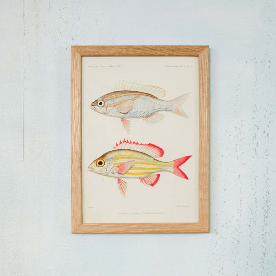 Framed Rectangular Striped Fish Print