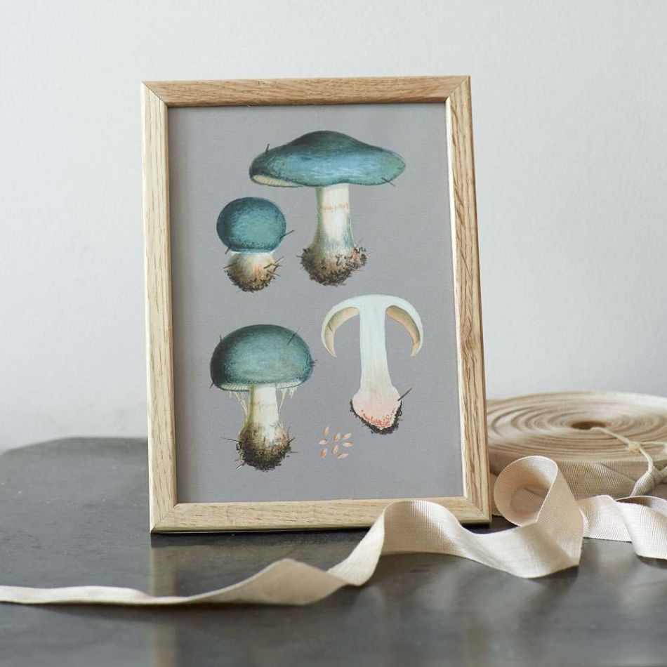 Framed Small Green Fungi Print 