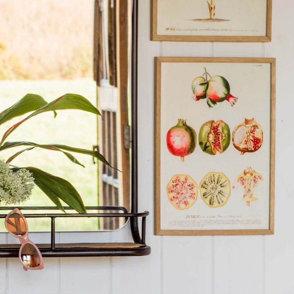 Framed Rectangular Pomegranate Print 