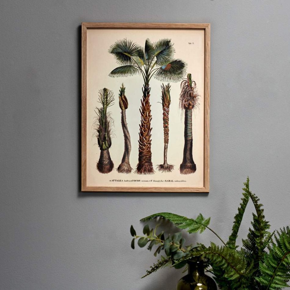Framed Botanical Palm Print