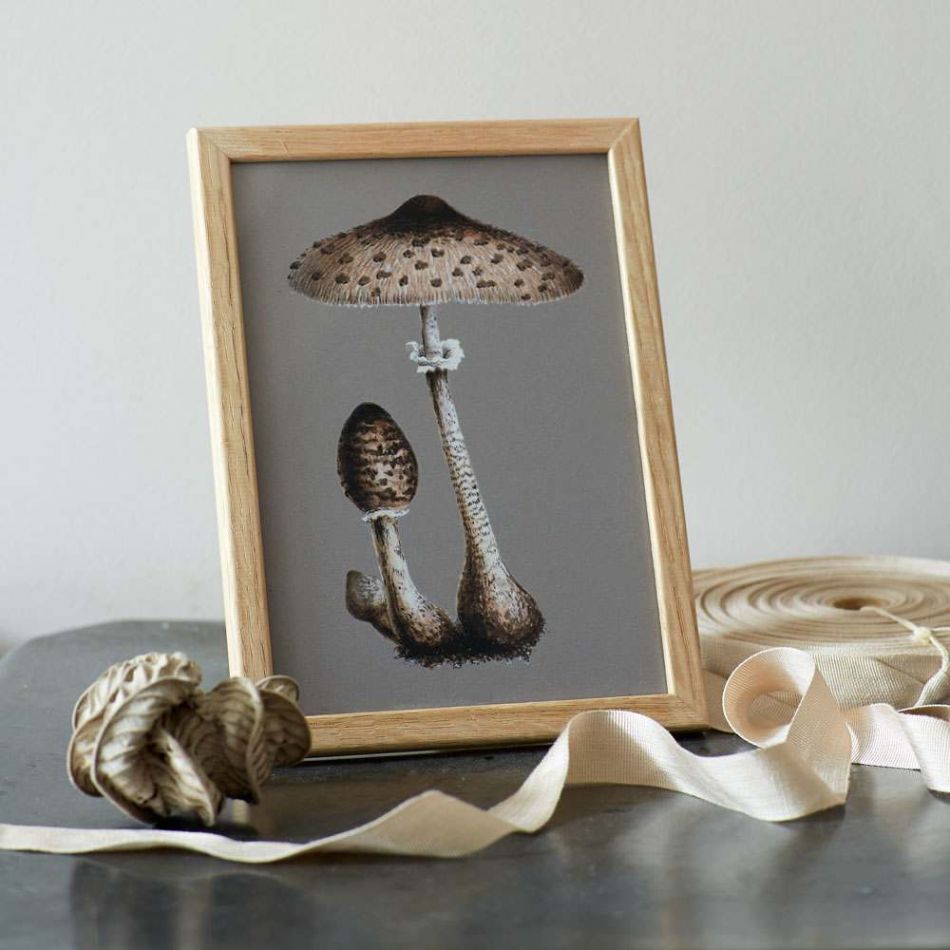 Framed Small Speckled Fungi Print 