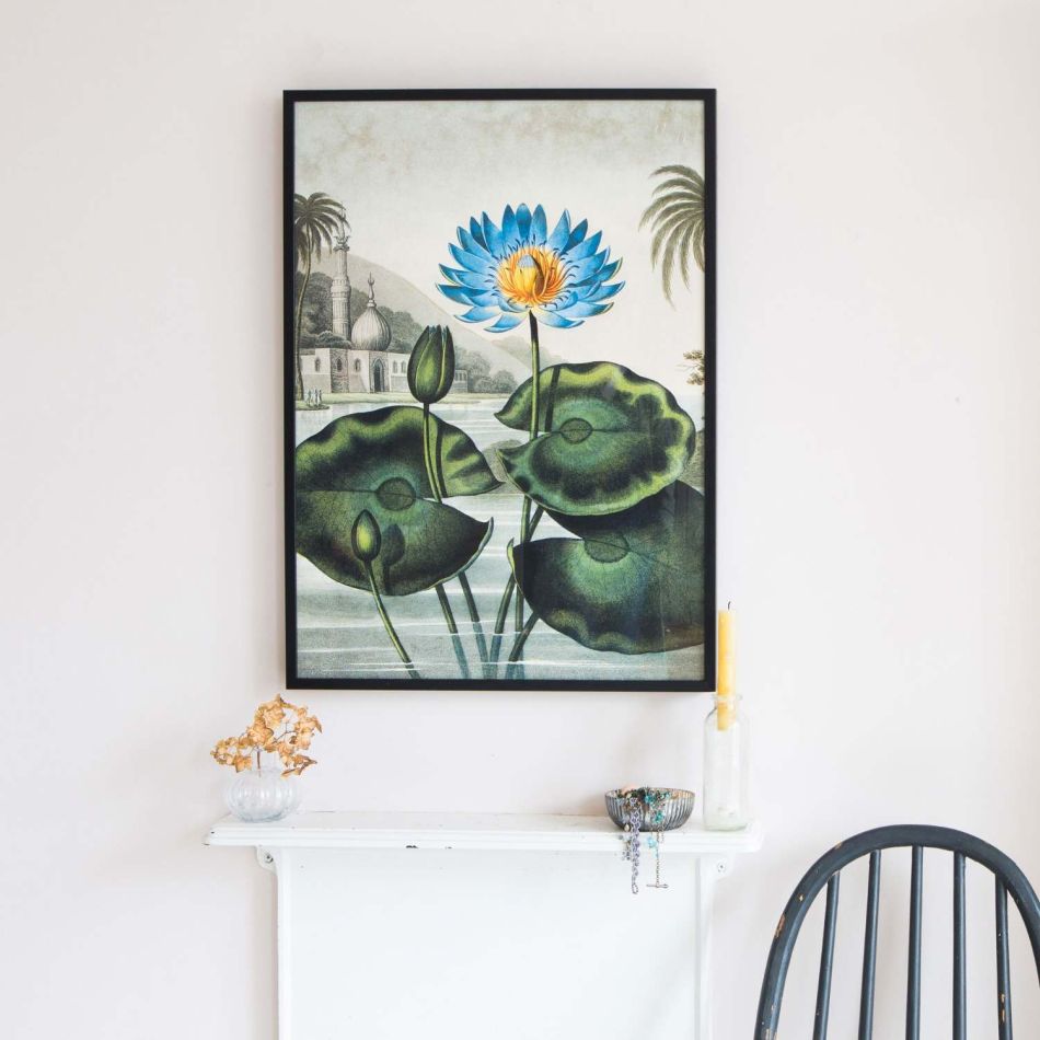 Medium Framed Blue Water Lily Print