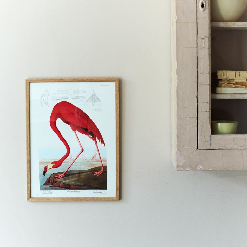 Framed American Flamingo Print 