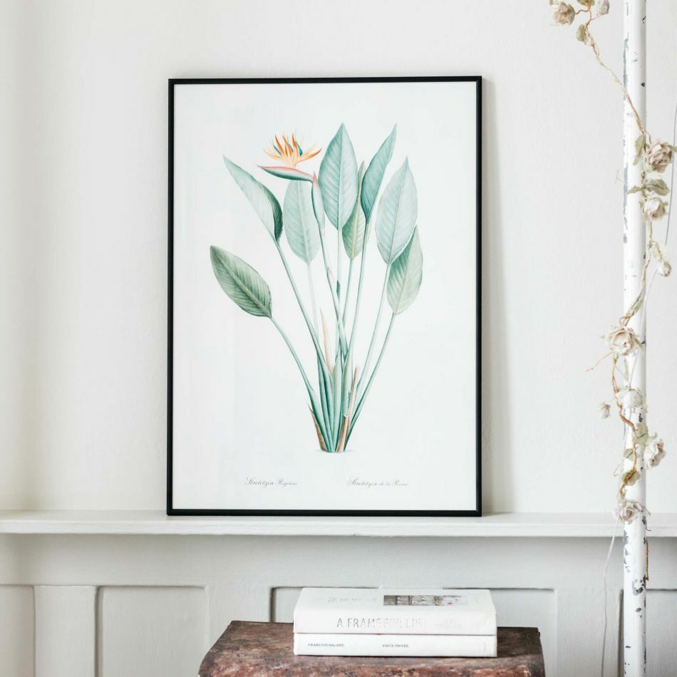 Medium Framed Crane Flower Print