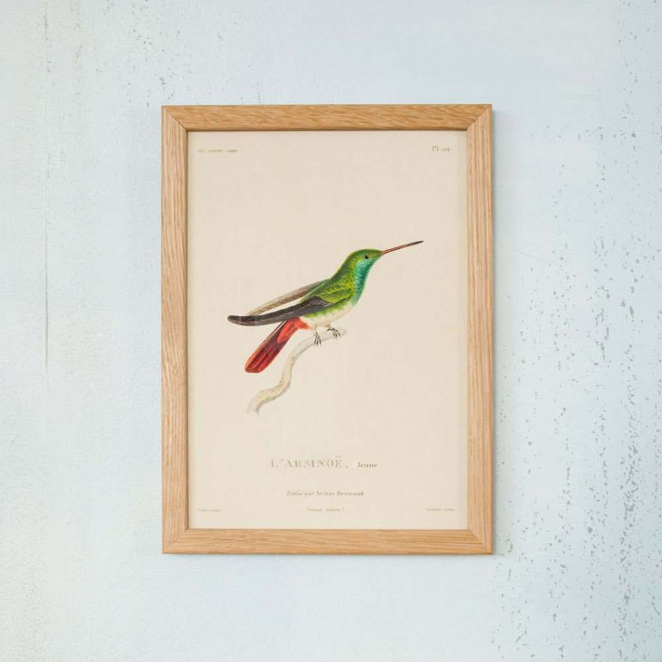 Framed Rectangular Green Hummingbird Print