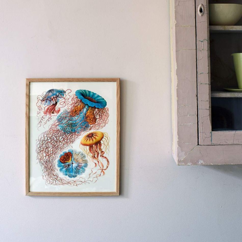 Small Framed Jellyfish Print
