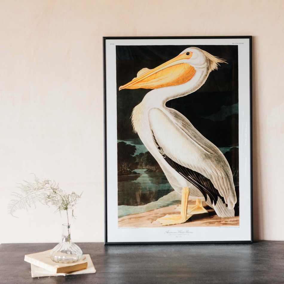 Medium Framed White Pelican Print