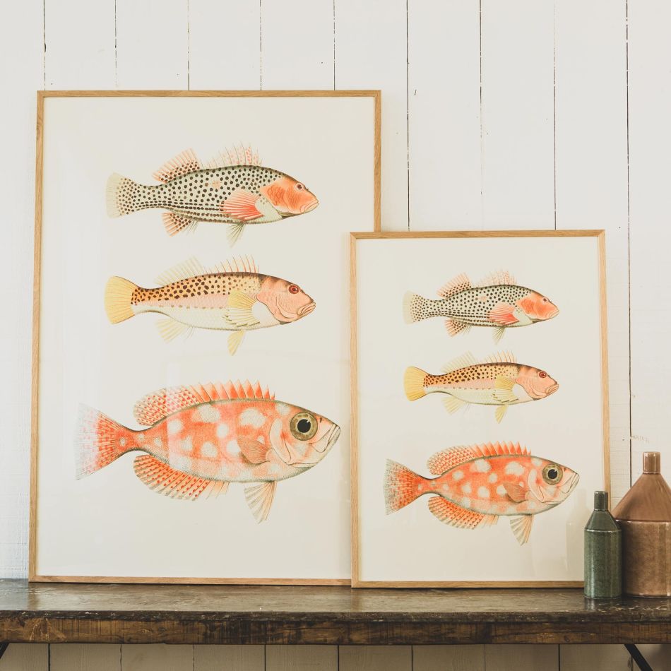Framed Three Fish Prints