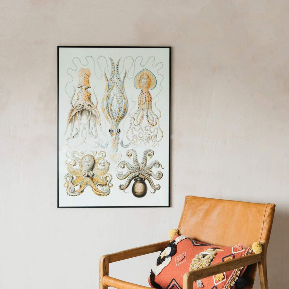 Framed Octopus Prints