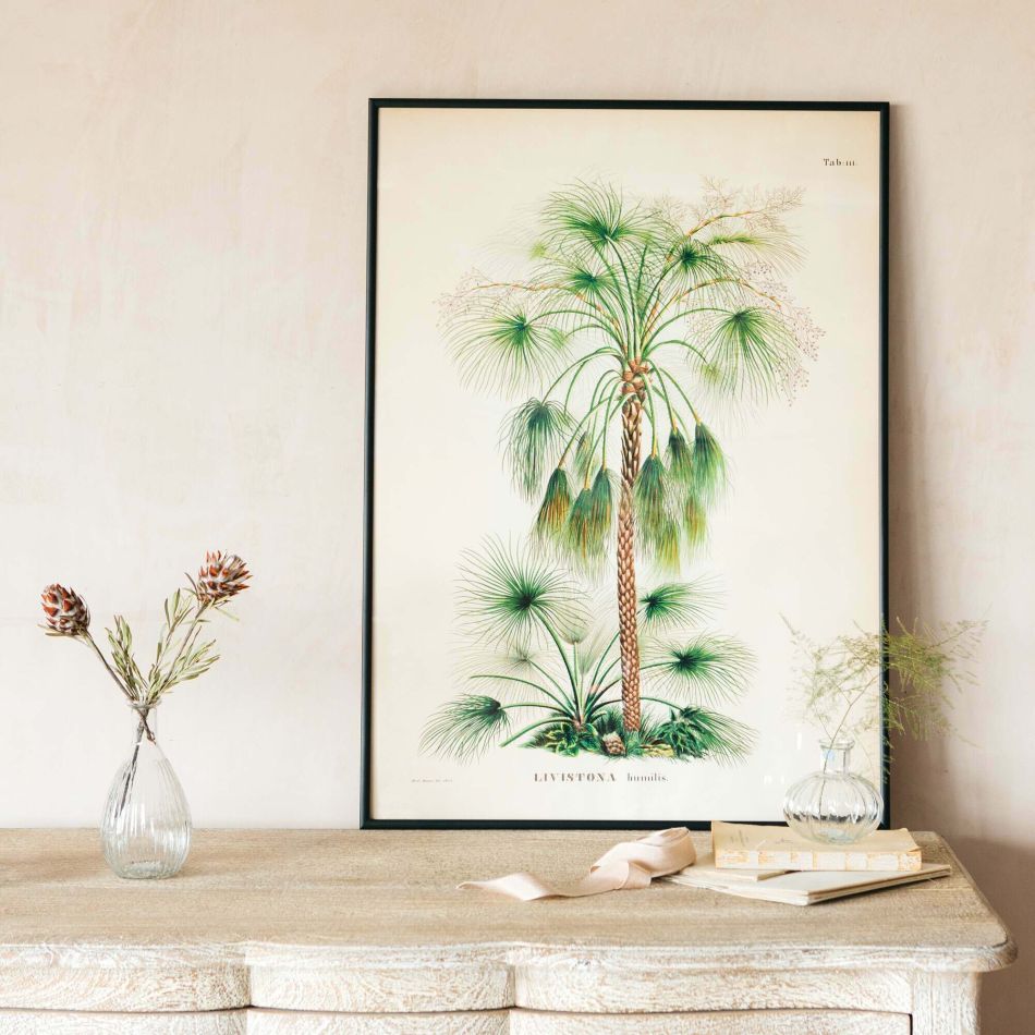 Medium Framed Exotic Palm Print