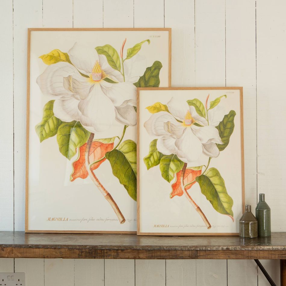 Framed White Magnolia Prints