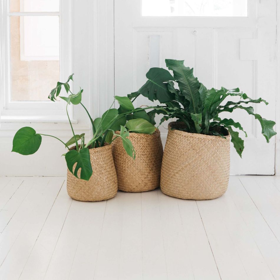 Set of Three Natural Seagrass Baskets