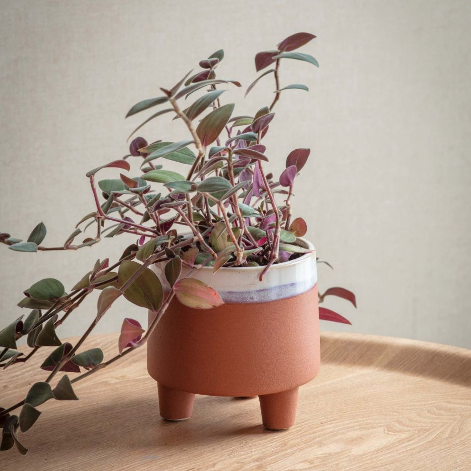 Halston Small Terracotta Pot