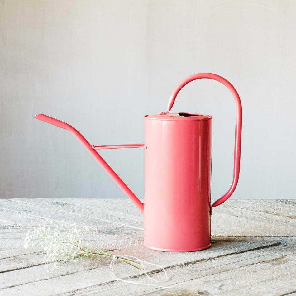 Faded Rose Watering Can