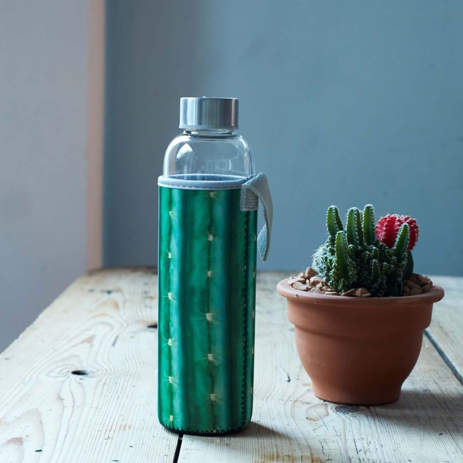 Cactus Drinking Bottle with Sleeve