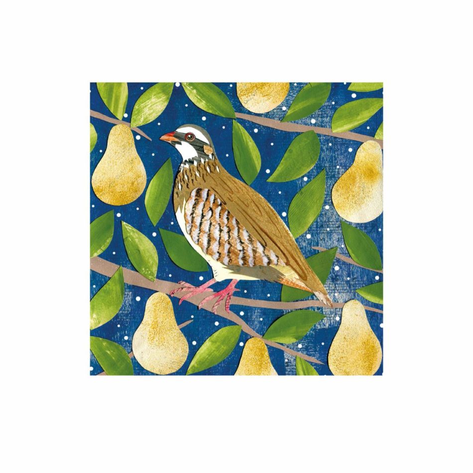 Set of 8 Partridge in a Pear Tree Christmas Cards