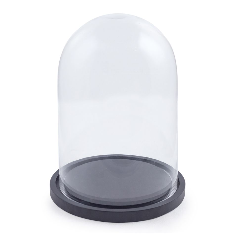 Small Glass Dome with Black Base
