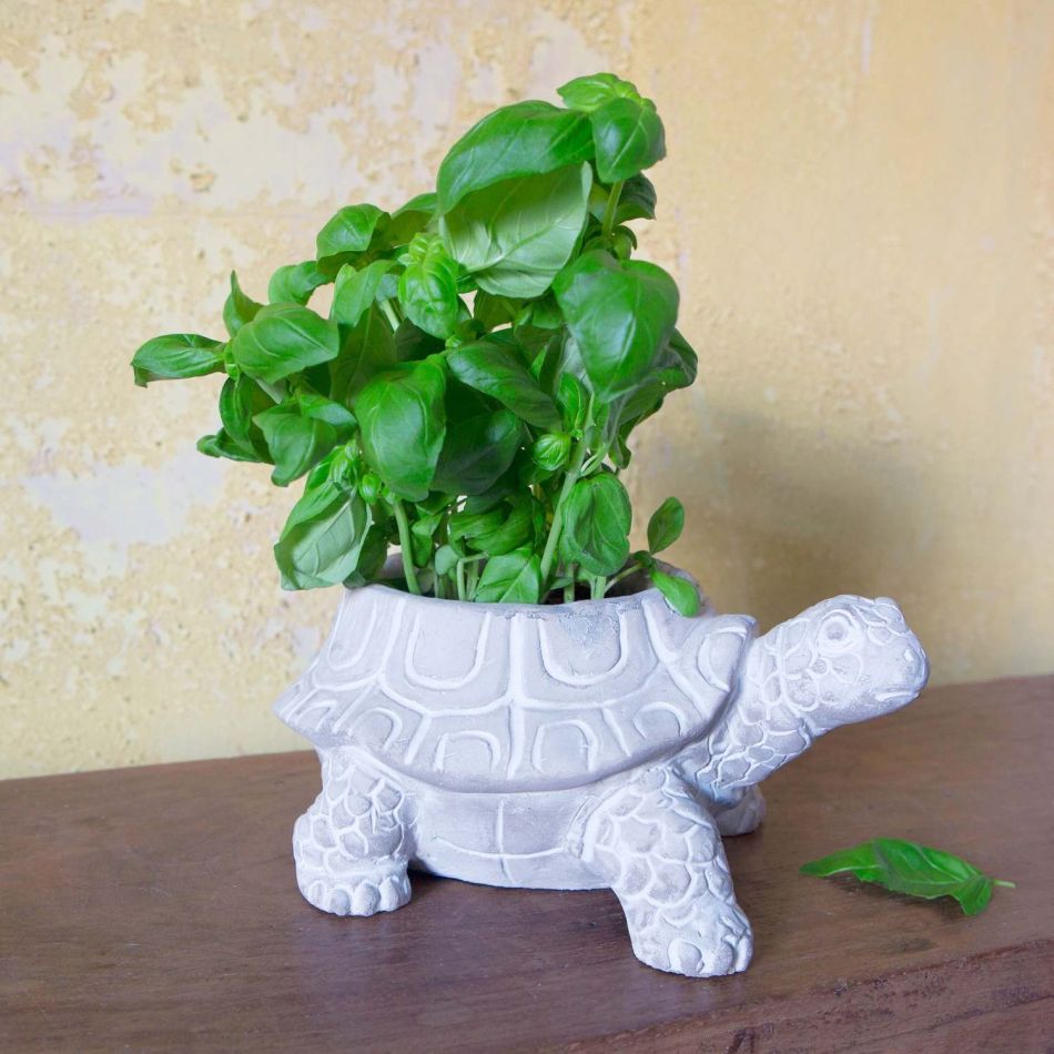 Terry Tortoise Planter
