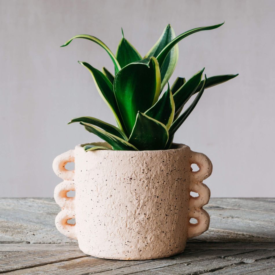 Pink Looped Handle Plant Pot