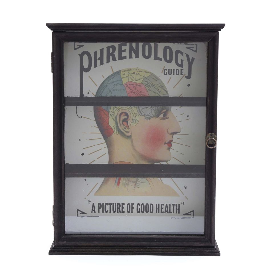 Phrenology Cabinet