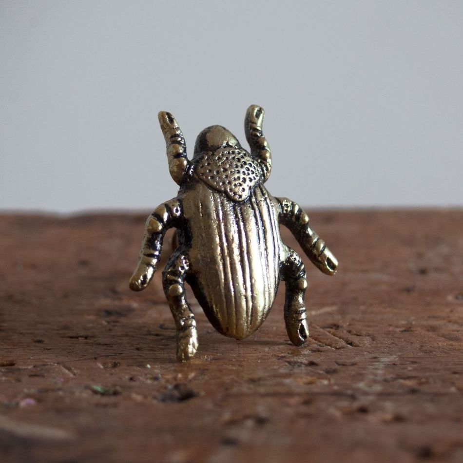 Golden Beetle Metal Knob