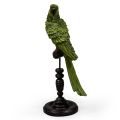 Green Parrot on Perch