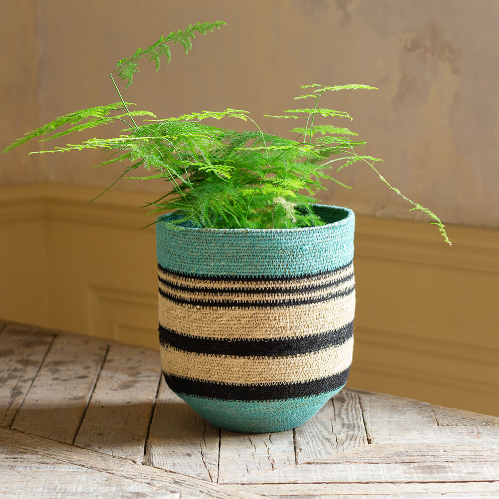 Photo of Graham and green blue and black striped basket