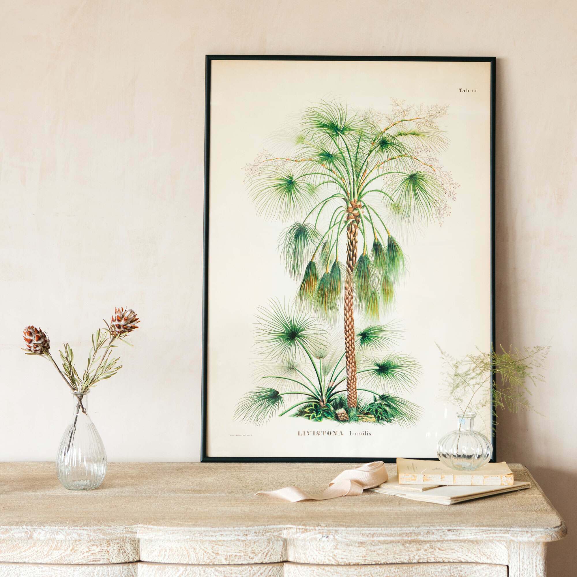 Read more about Graham and green medium framed exotic palm print