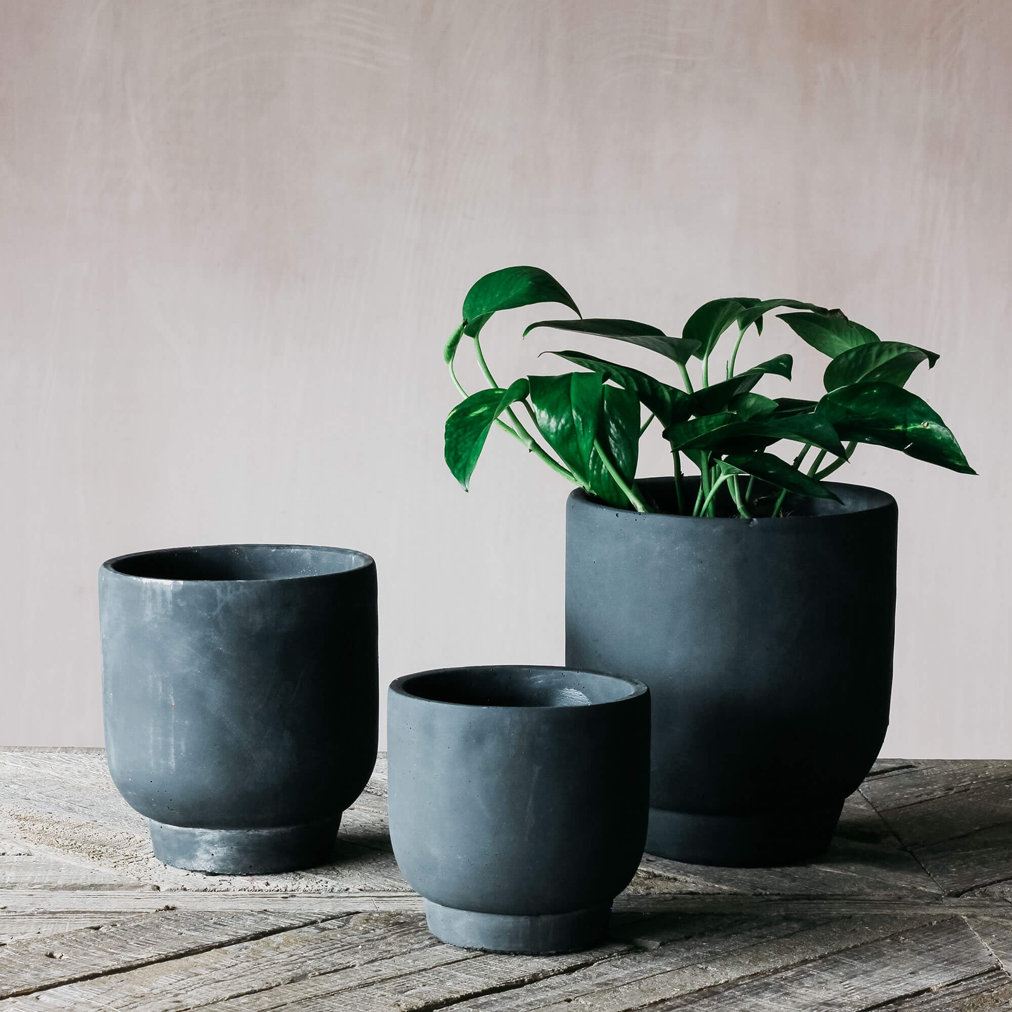Photo of Graham and green small cement planter