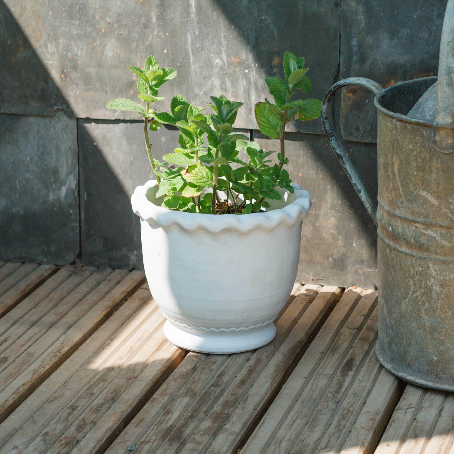 Read more about Graham and green large fluted whitewash plant pot