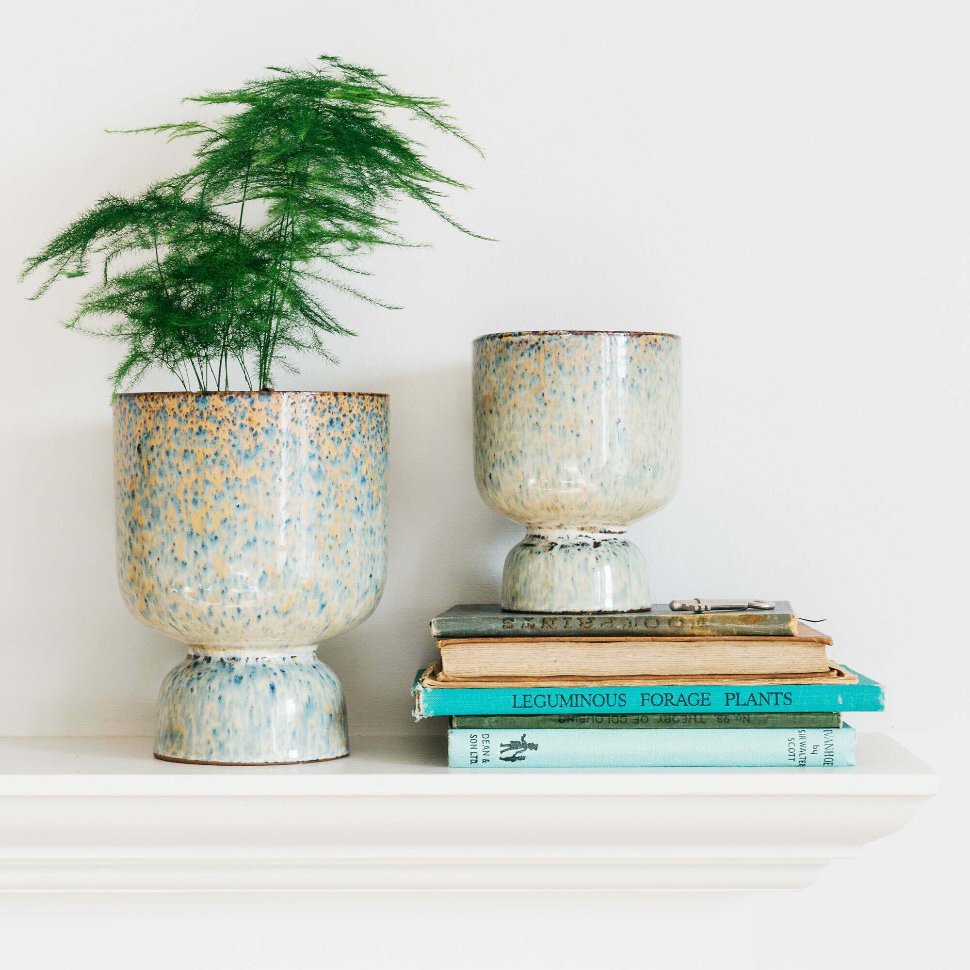 Read more about Graham and green small speckled plant pot