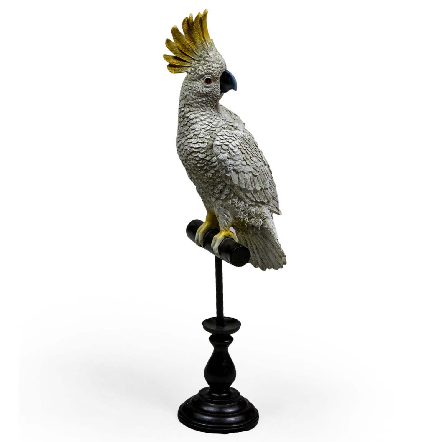 An image of Cockatoo on Perch