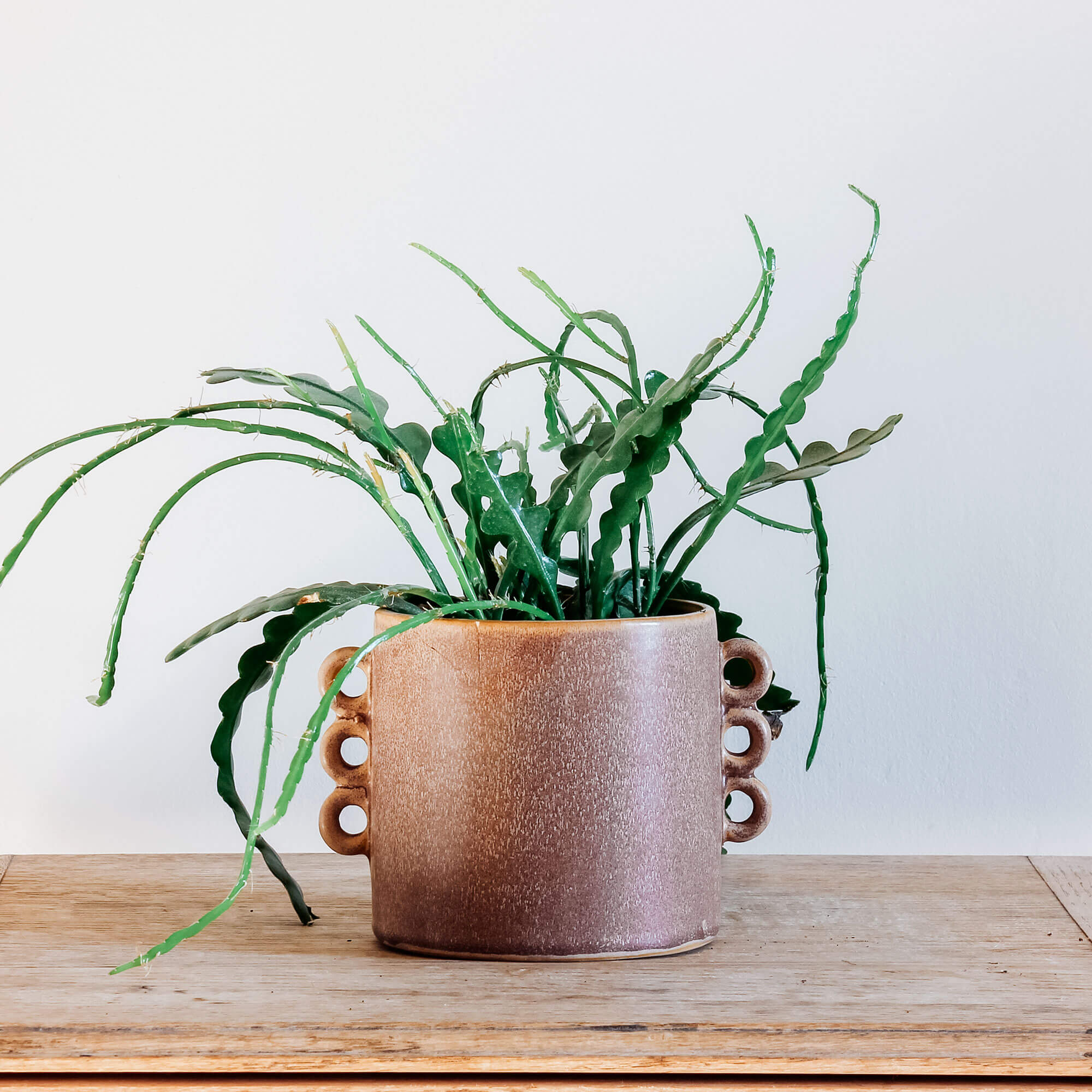 Read more about Graham and green small looped stone plant pot