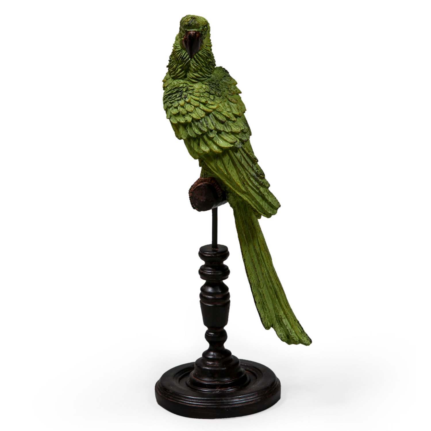 An image of Green Parrot on Perch