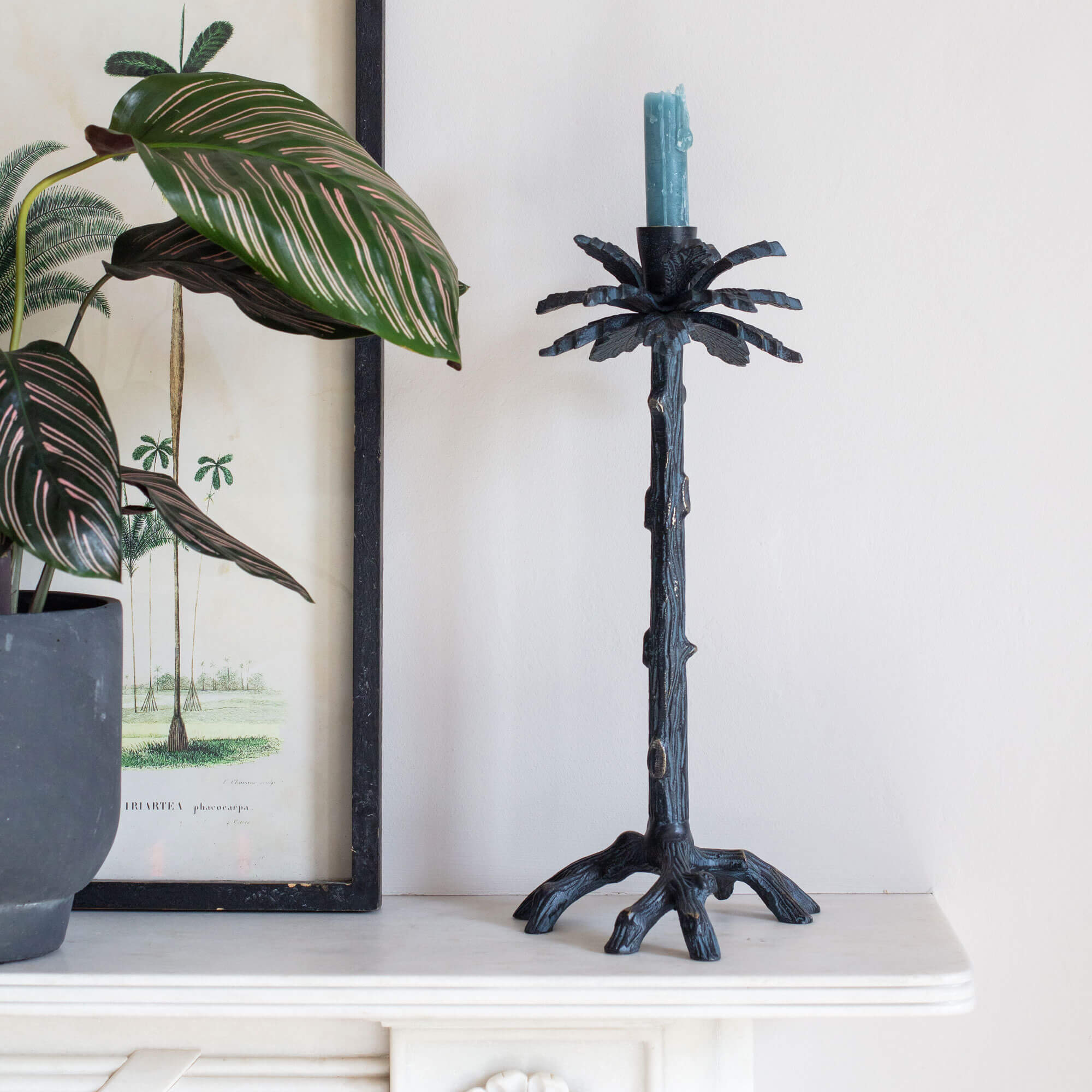 Read more about Graham and green brass palm candlestick