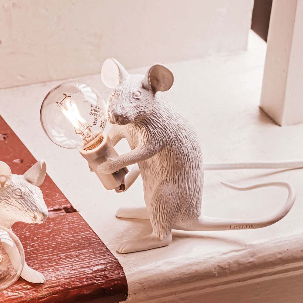 Photo of Graham and green mouse lamp sitting