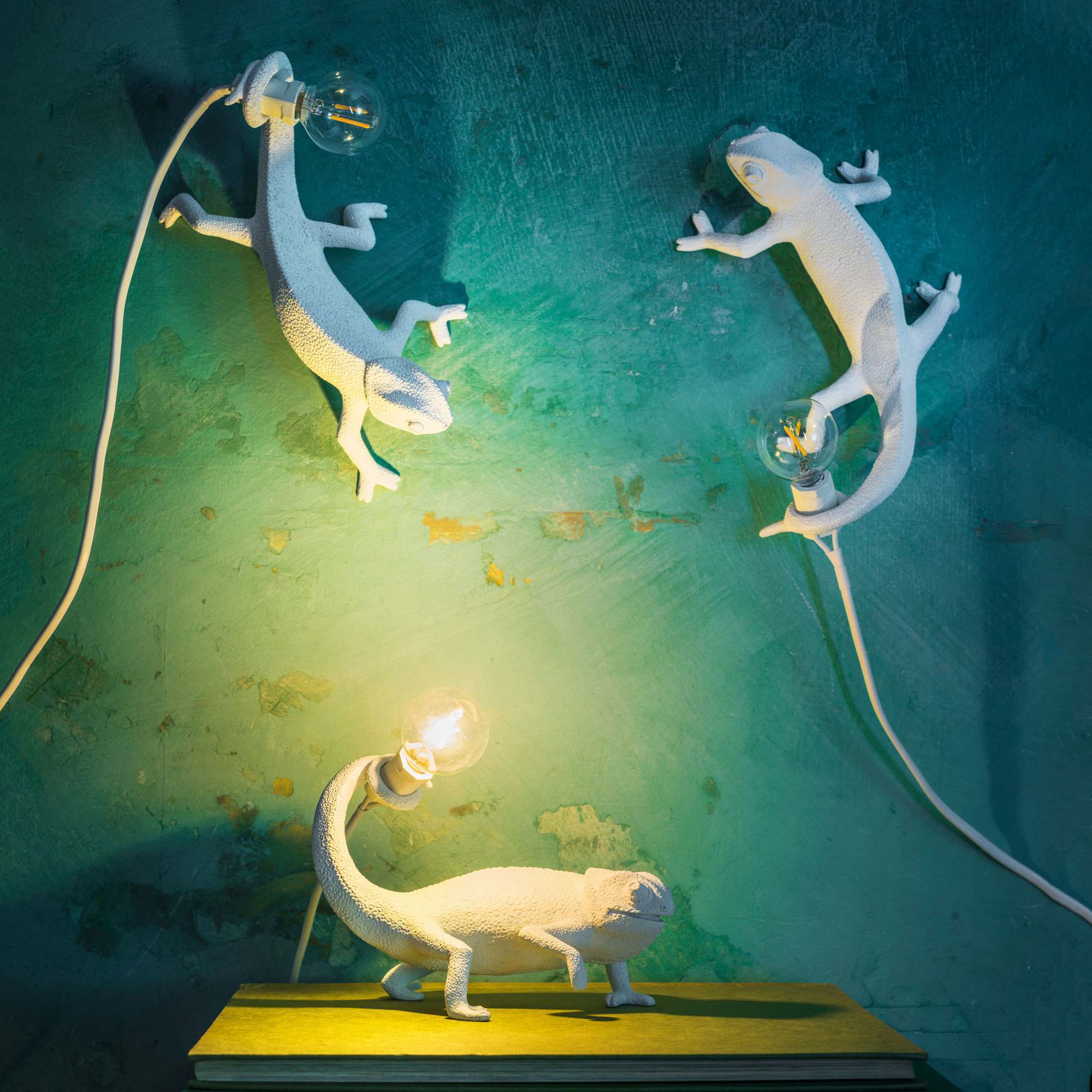 Photo of Graham and green standing chameleon lamp