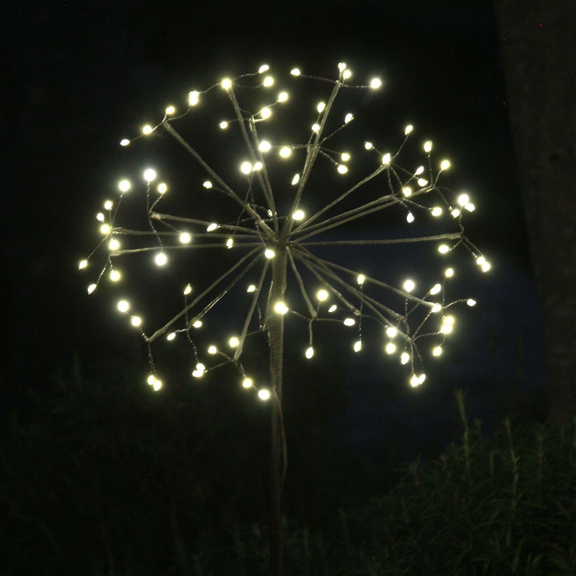 Read more about Graham and green small outdoor dandelion light