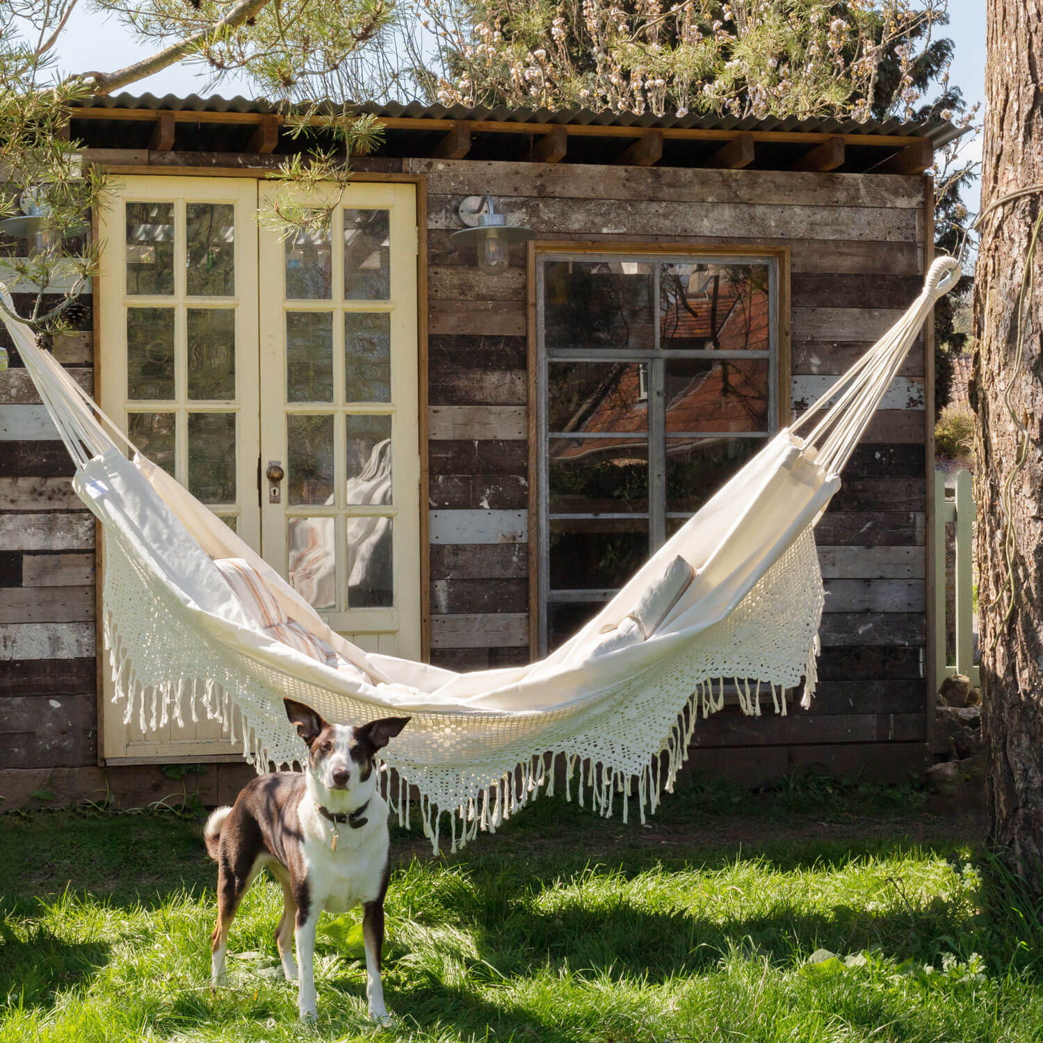 Photo of Graham and green rio cotton double hammock